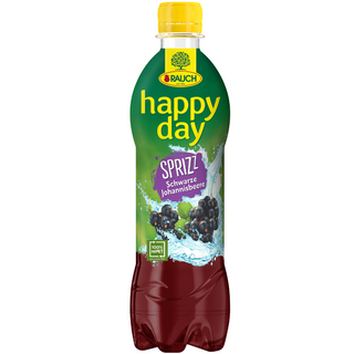 Rauch Happy Day Black Currant Spritz- 0.5L